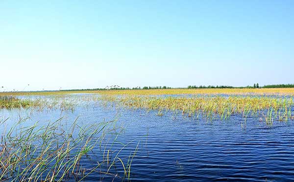 白洋淀紅色精神 白洋淀紅色精神