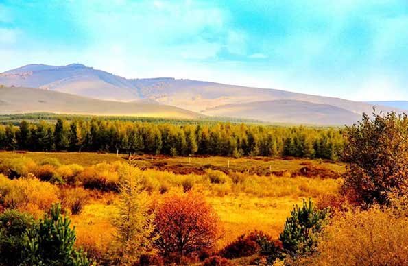 塞罕壩精神培訓基地