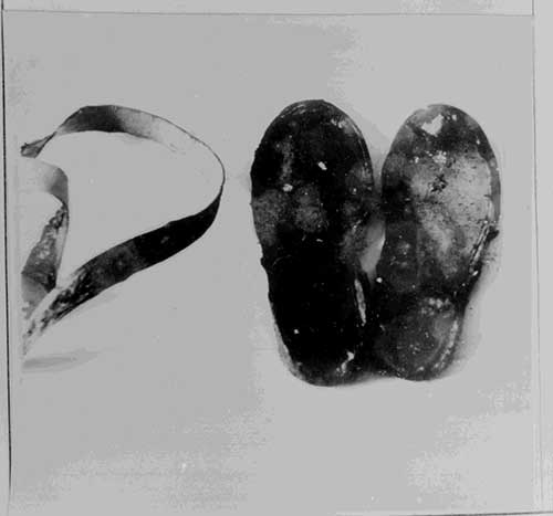 被燒焦變形的鞋底 被燒焦變形的鞋底