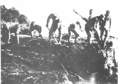 蘇浙軍區的大生產運動