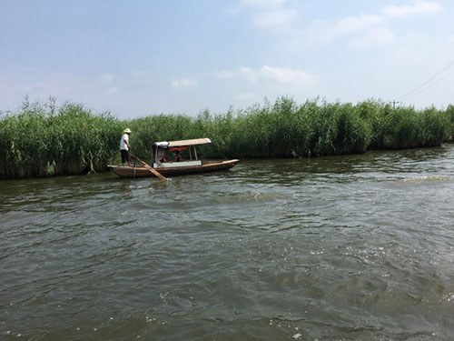 白洋淀紅色教育 白洋淀紅色教育