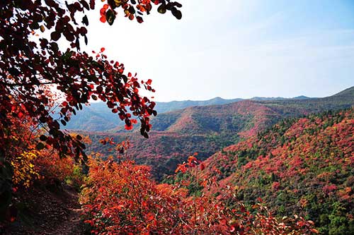 北京香山紅色教育基地 北京香山紅色教育基地
