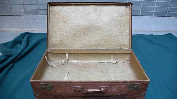 總理鋼紙箱 總理鋼的紙箱