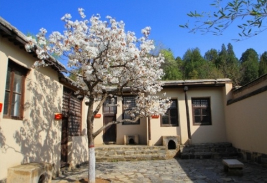 1746783519401941.jpg 3.jpg