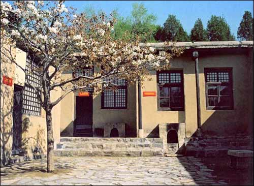 1747462933257932.jpg 8888.jpg